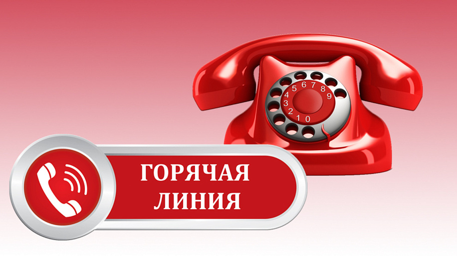 Телефоны «горячей линии»  для приема сообщений о фактах нелегальной занятости на территории Тульской области