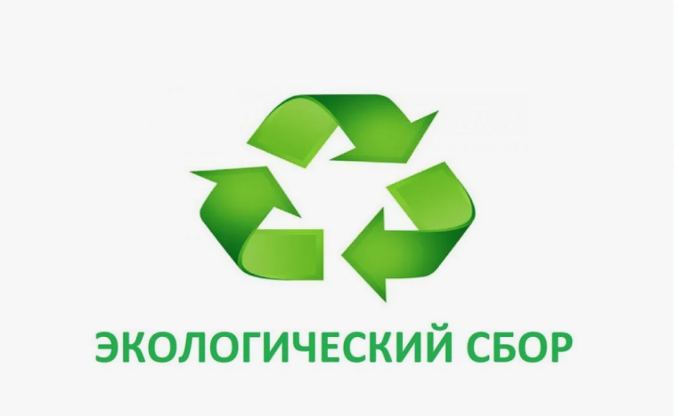 О процессе представления отчетности и уплаты экологического сбора в рамках расширенной ответственности производителей и импортеров