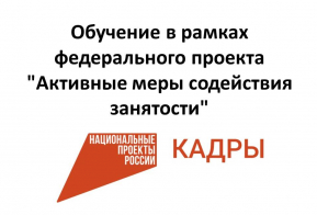 Стартовал федеральный проект «Активные меры содействия занятости» национального проекта «Кадры»