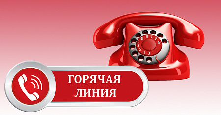Телефоны «горячей линии»  для приема сообщений о фактах нелегальной занятости на территории Тульской области