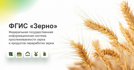 Субсидии на производство и реализацию зерновых будут доступны только при внесении данных во ФГИС «Зерно»