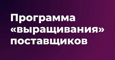 Субъекты МСП могут подать заявку на участие в программе по закупкам