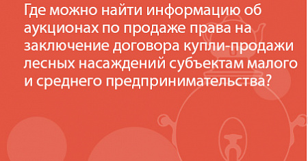 Где можно найти информацию об аукционах по продаже права на заключение договора купли-продажи лесных насаждений субъектам малого и среднего предпринимательства?