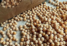 Нацпроект «Экспорт»: тульская органическая ферма получила сертификат «Сделано в России»