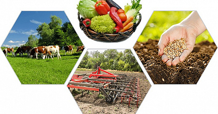 Семинар "Развитие сельскохозяйственной кооперации"